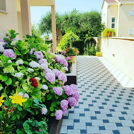 Becky On A Sandy Without Crowd * Sukošan